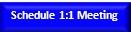 Schedule 1:1 Meeting